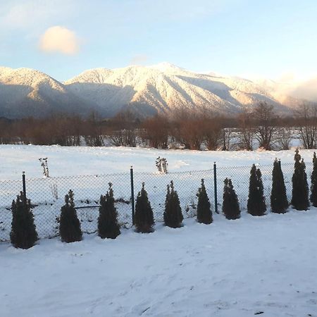 Villa Letizia near Pirin Golf Resort Bansko Esterno foto